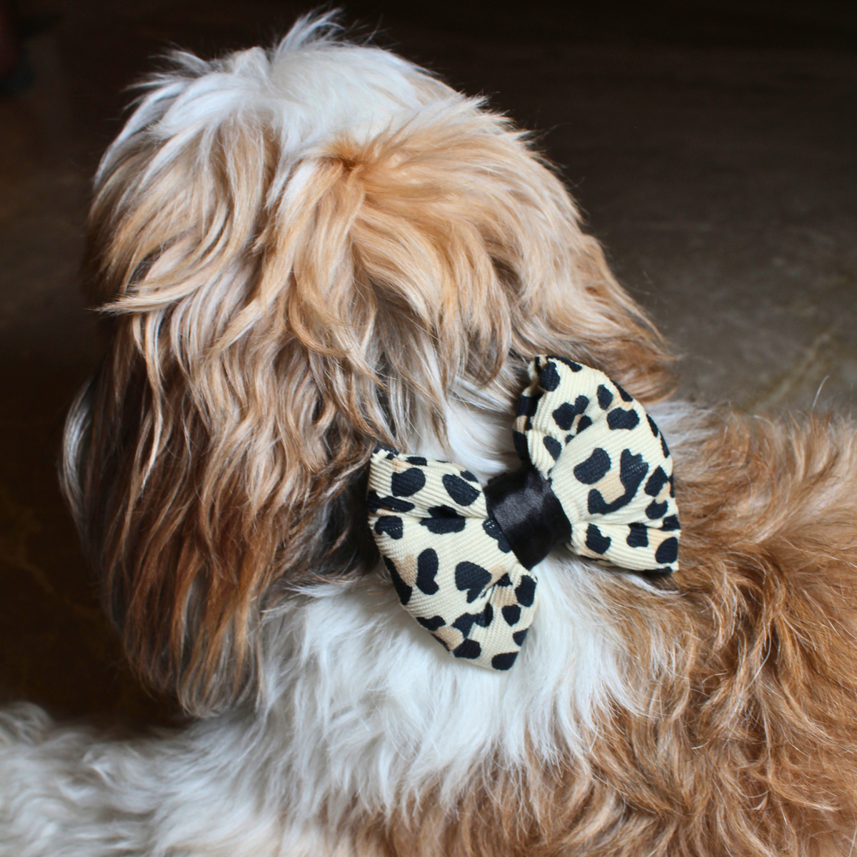 Wild Paws Bow Tie