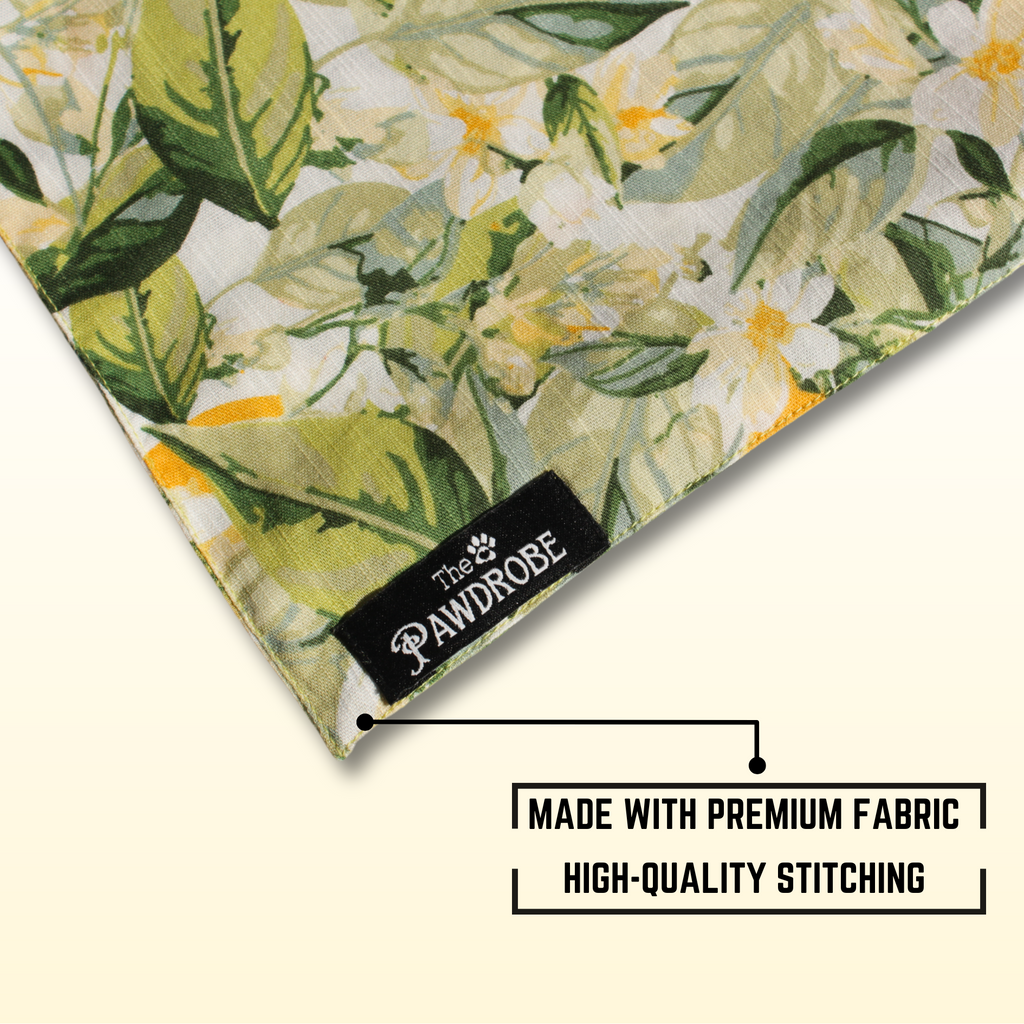 Garden Glow Pet Bandana