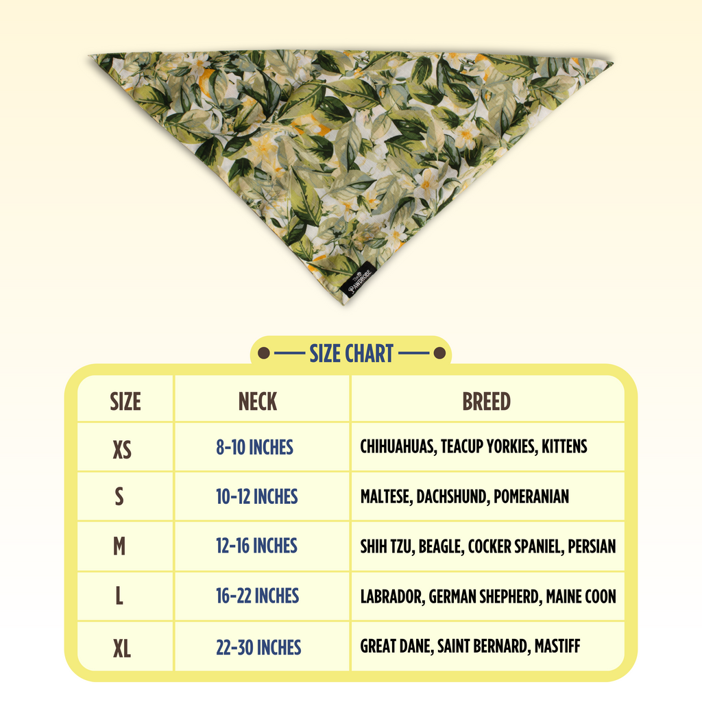 Garden Glow Pet Bandana