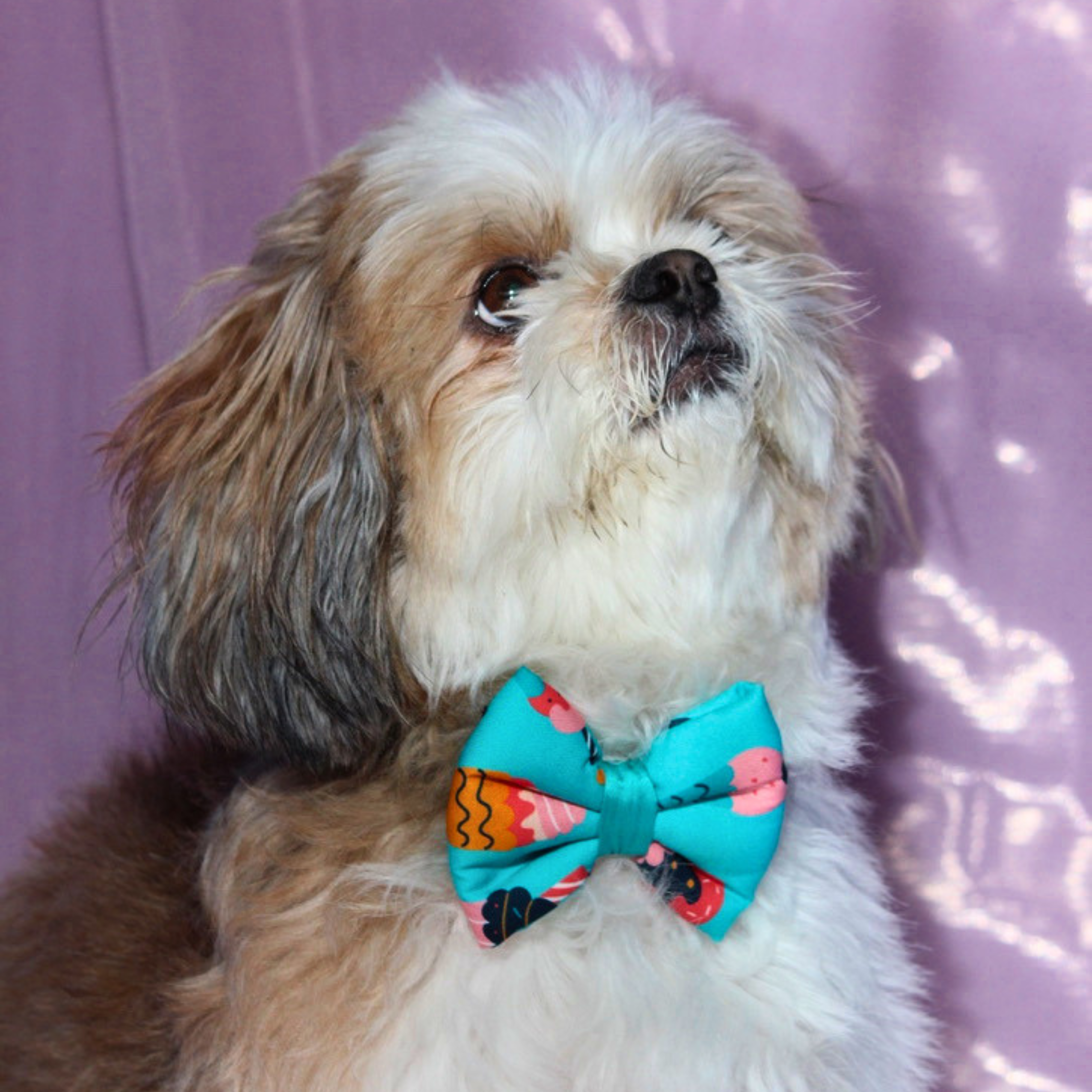 Pupcake Bow Tie