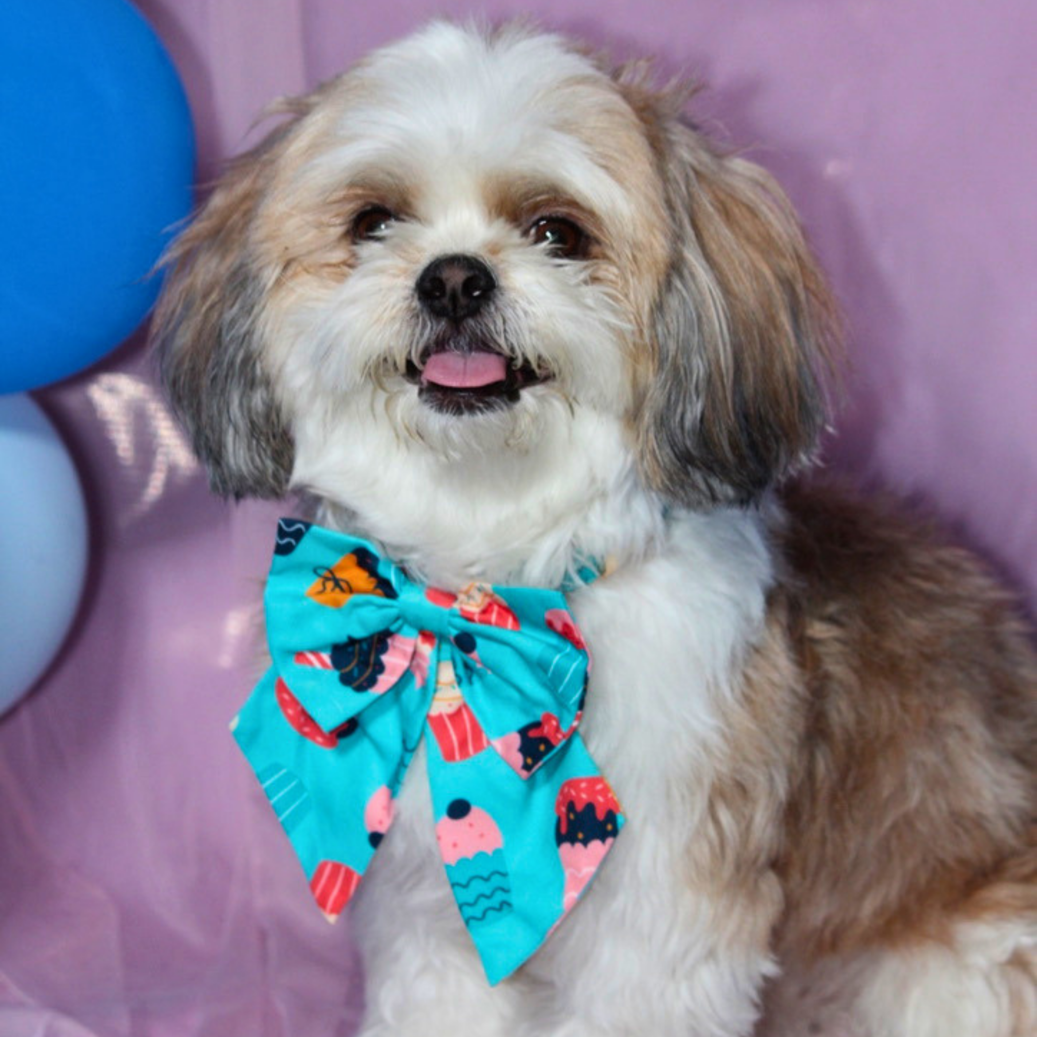 Pupcake Lady Bow | Cupcake Birthday Bow for Dogs & Cats