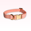 Citrus Collar