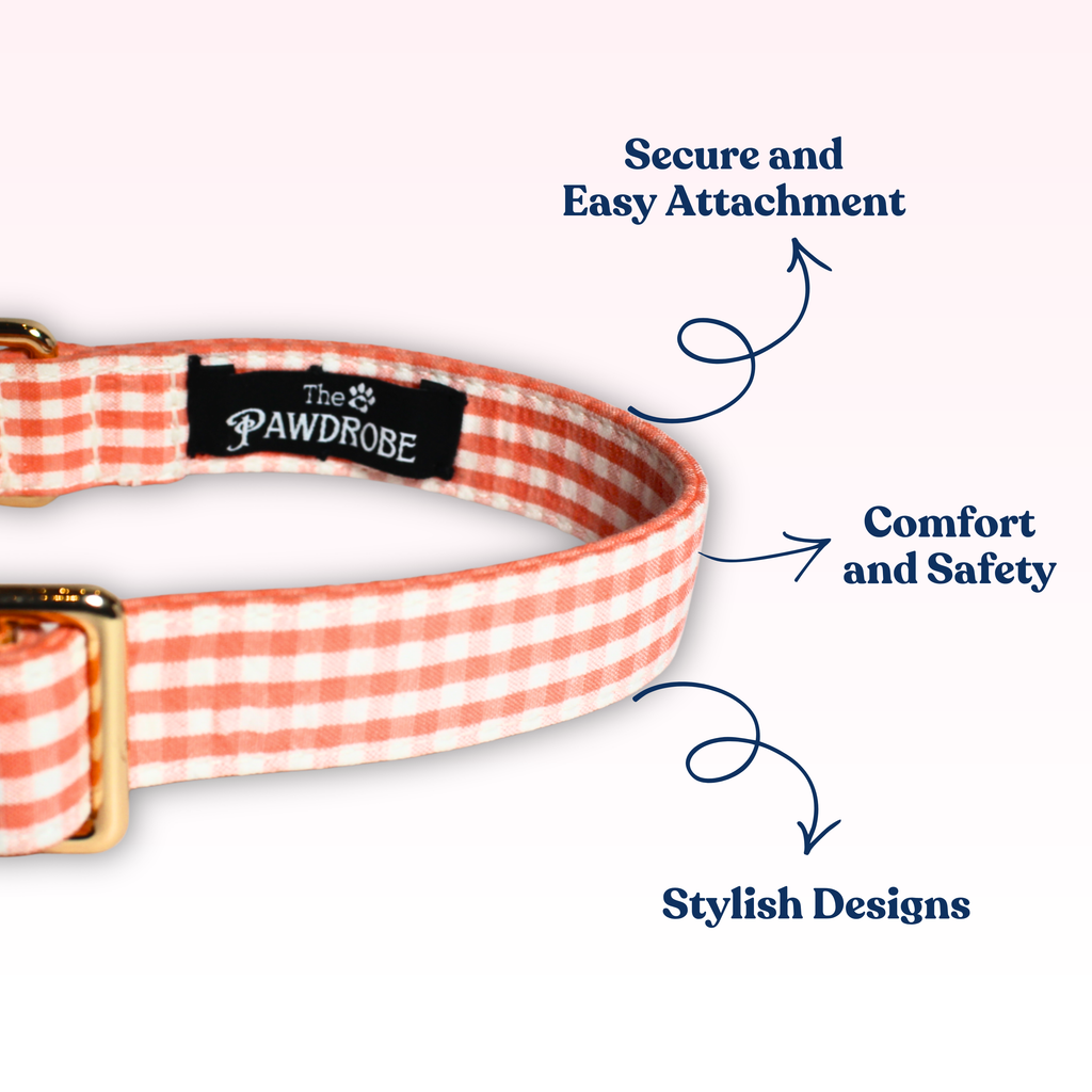 Citrus Collar