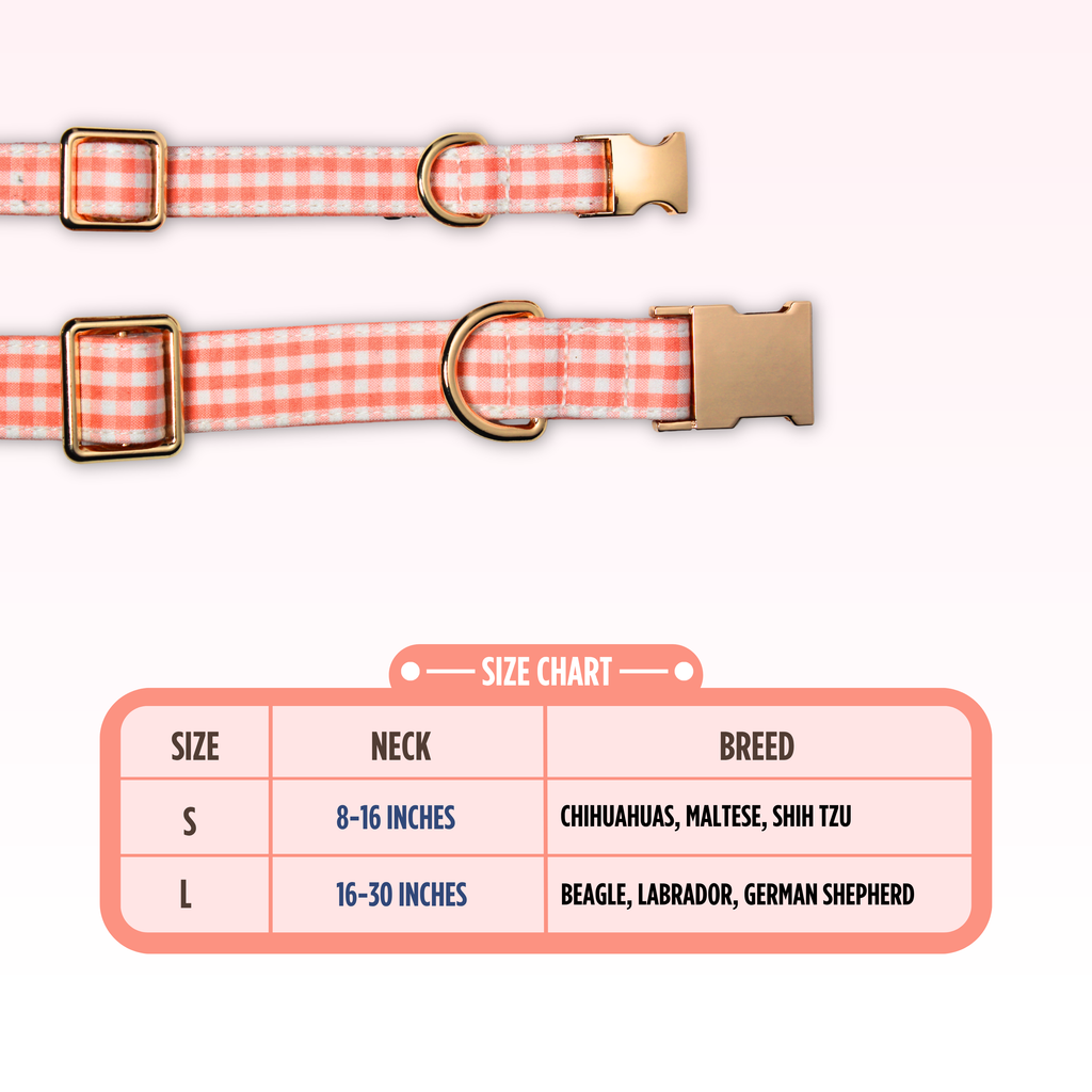 Citrus Collar