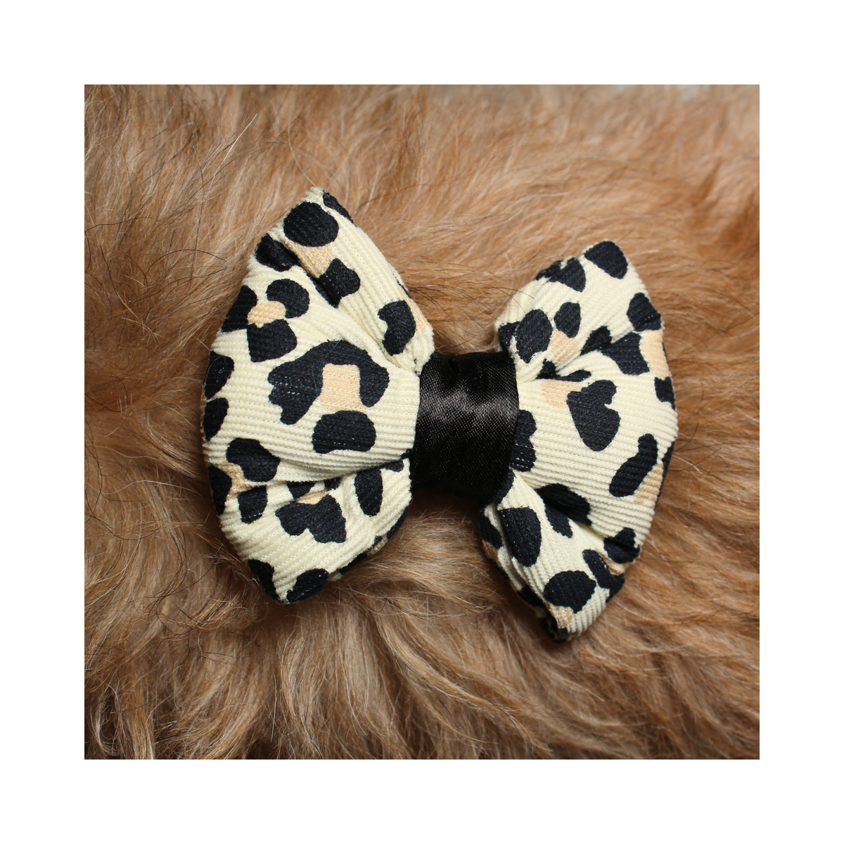 Wild Paws Bow Tie