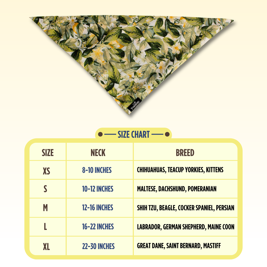 Garden Glow Pet Bandana