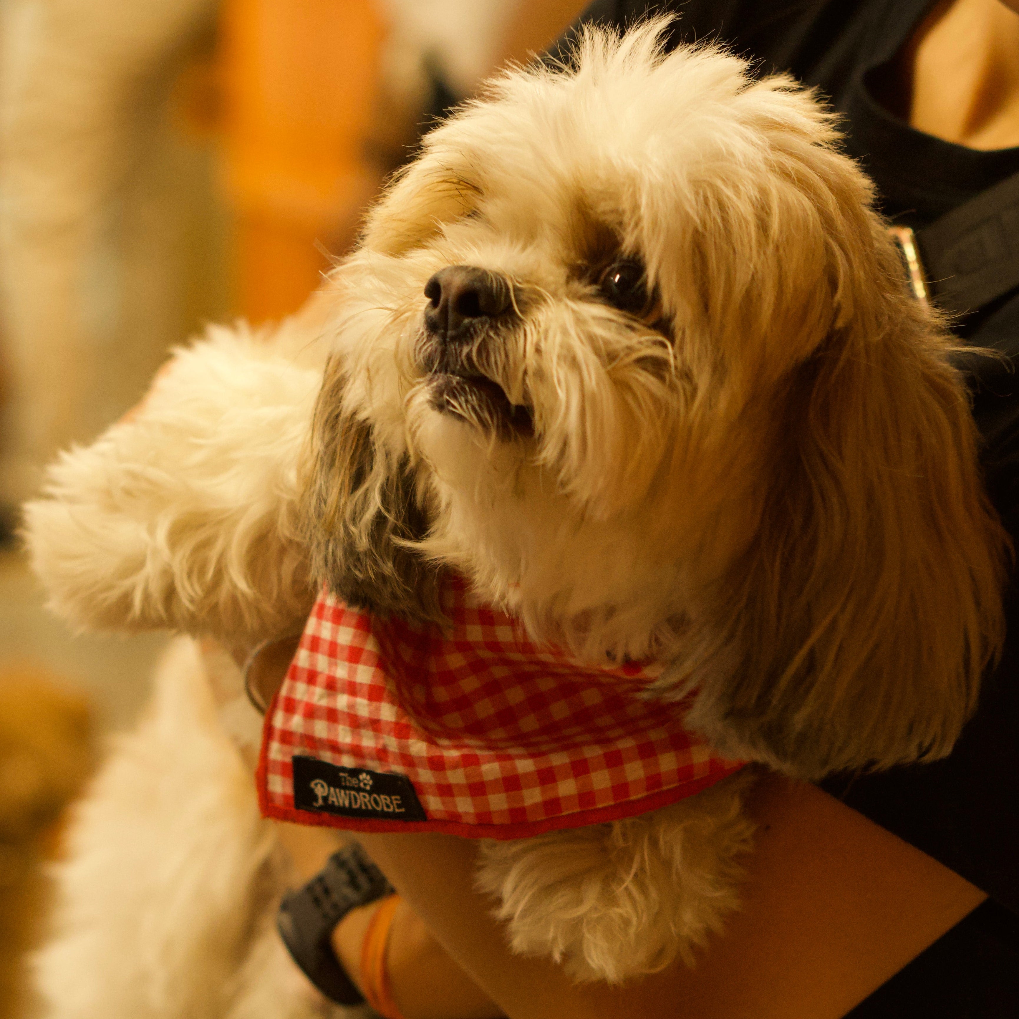 Strawberry Bandana