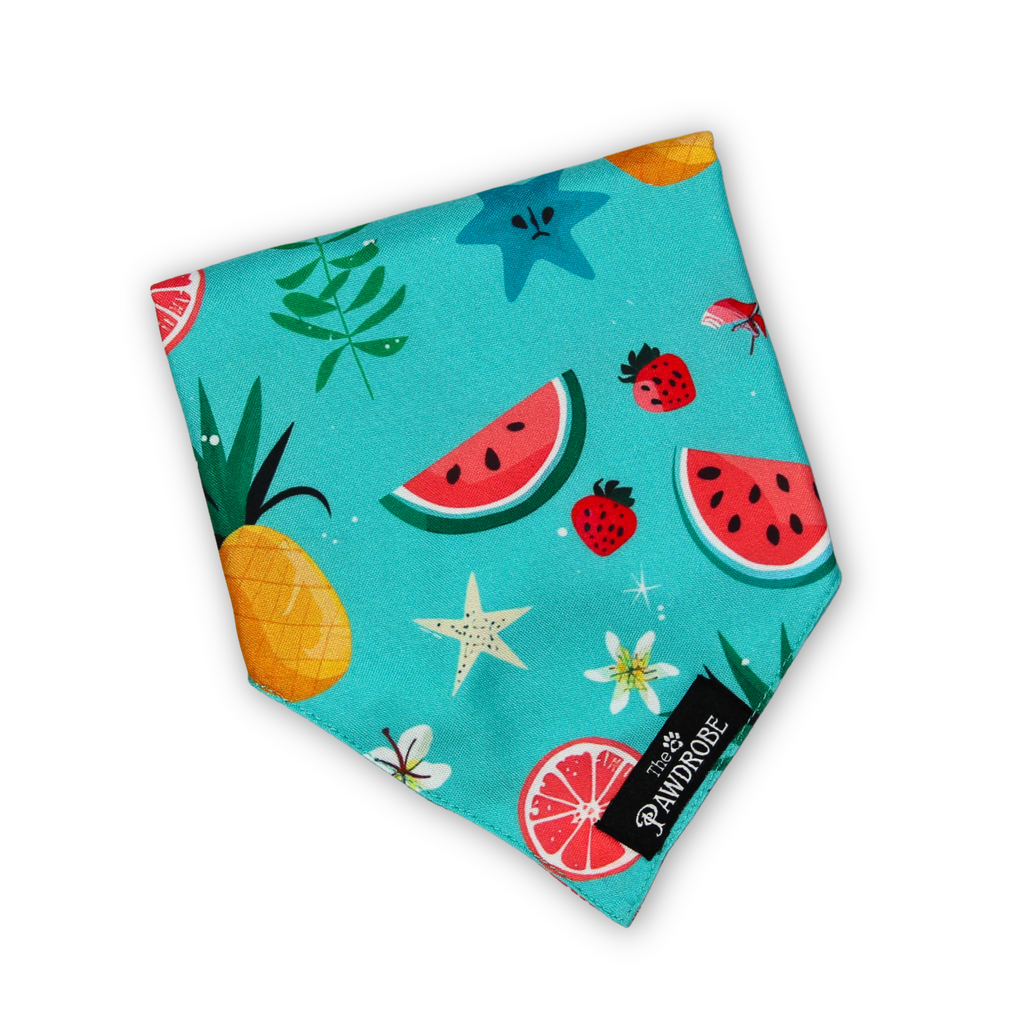 Fruitburst Pet Bandana