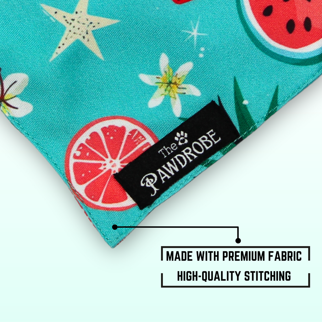 Fruitburst Pet Bandana