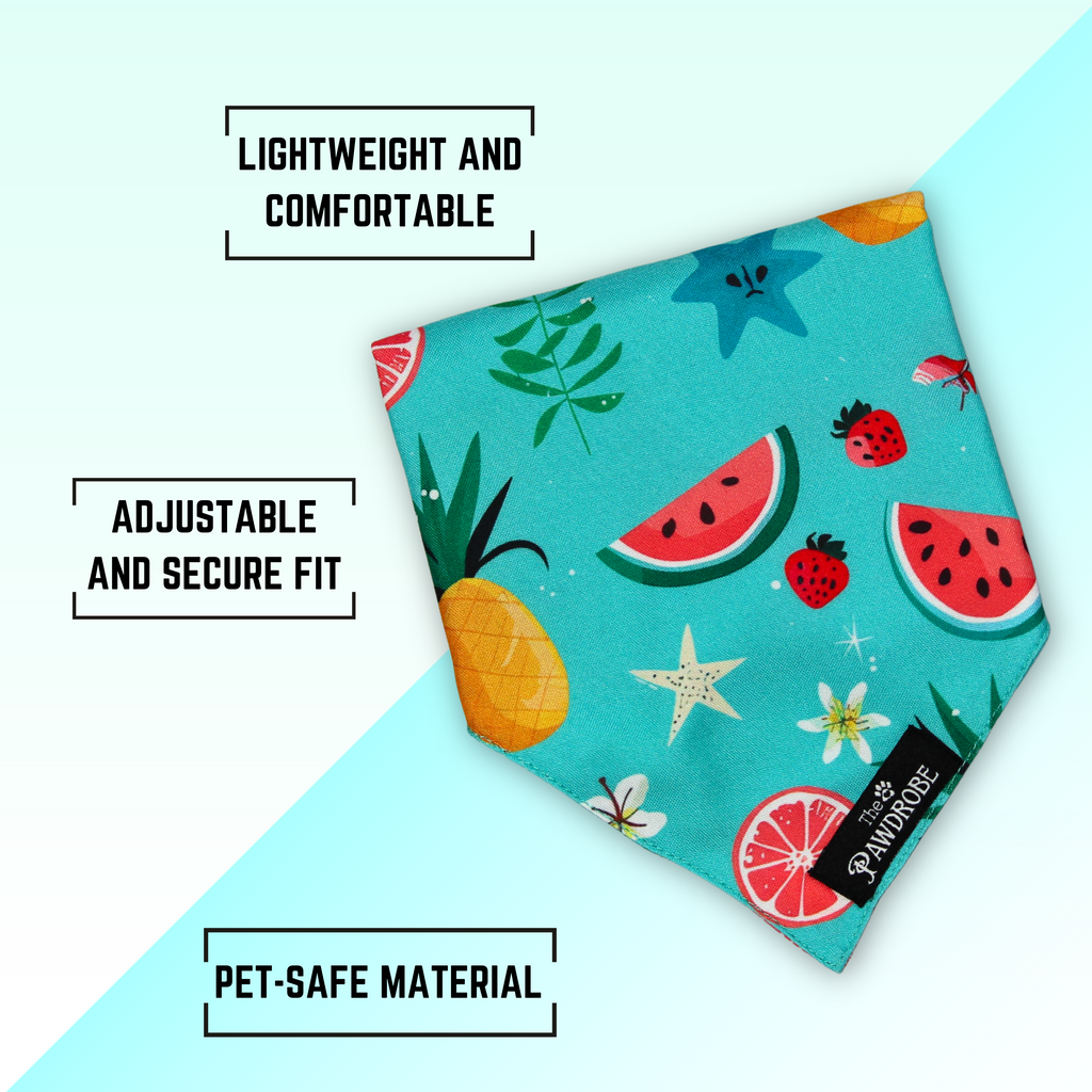 Fruitburst Pet Bandana