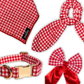 Strawberry Gingham Picnic Pretty Paws Bundle