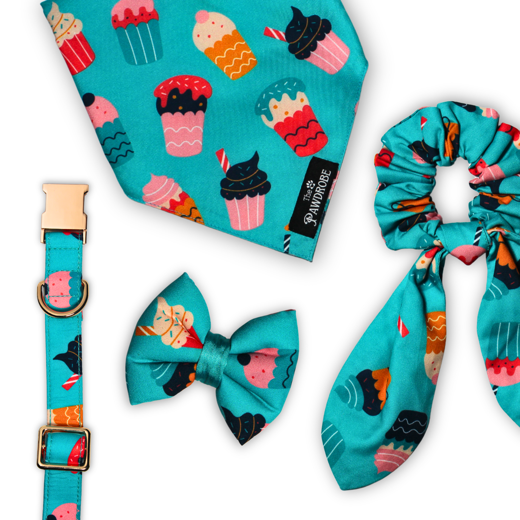 Pupcake Celebration Bundle - Birthday Boy