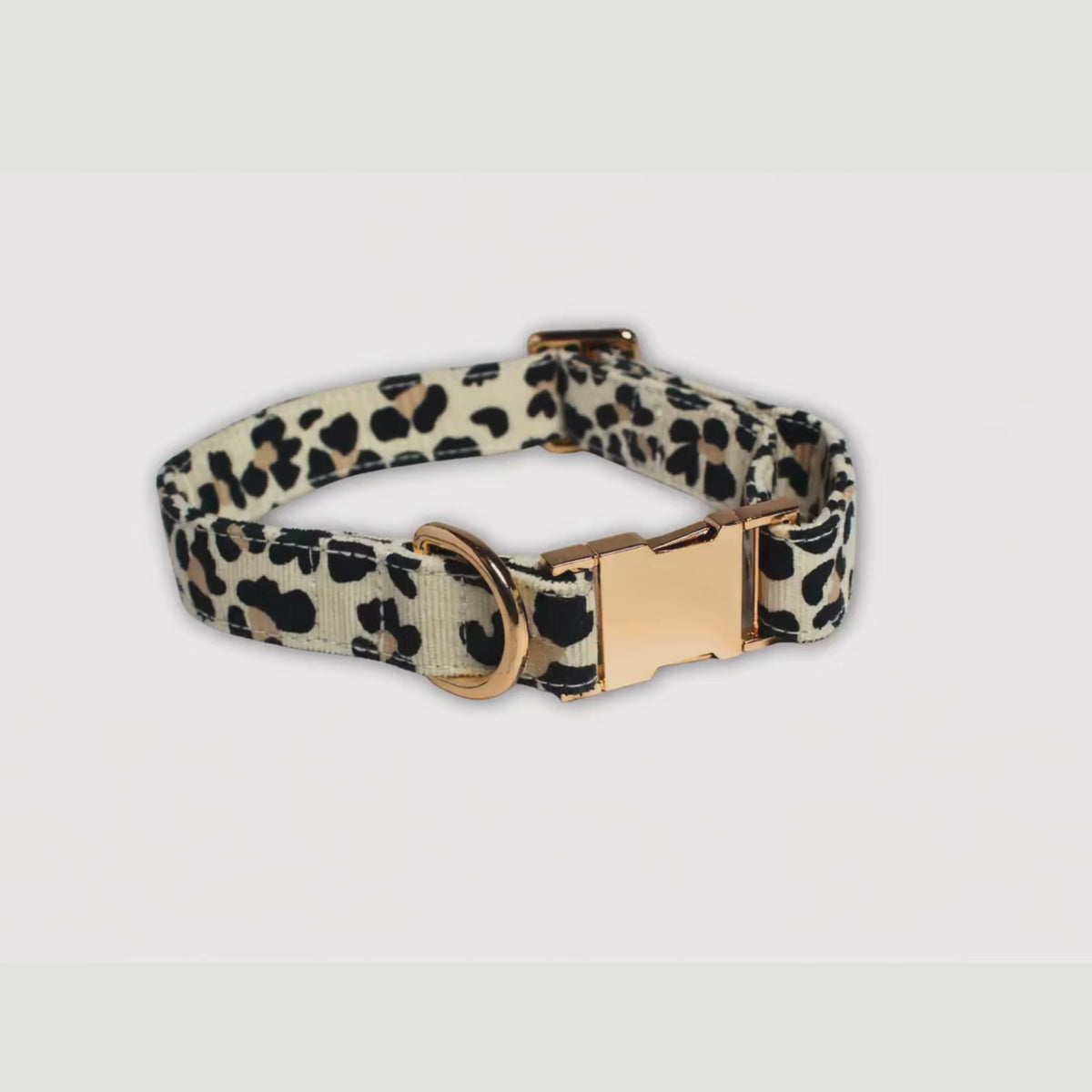 Wild Paws Collar